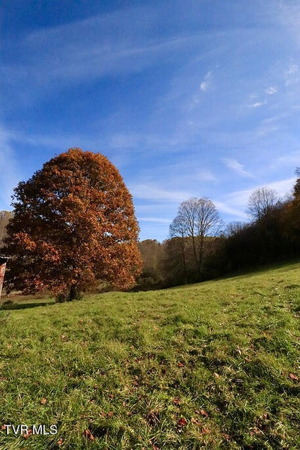 Photo #37: 2256 Whitley Branch Road