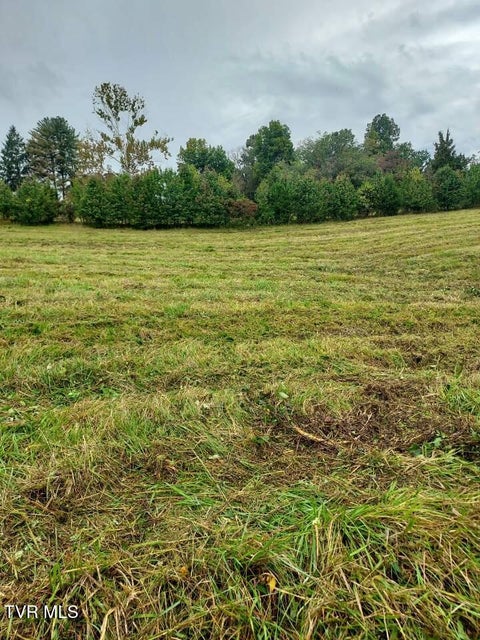 Photo #3: Tbd Highway 11 