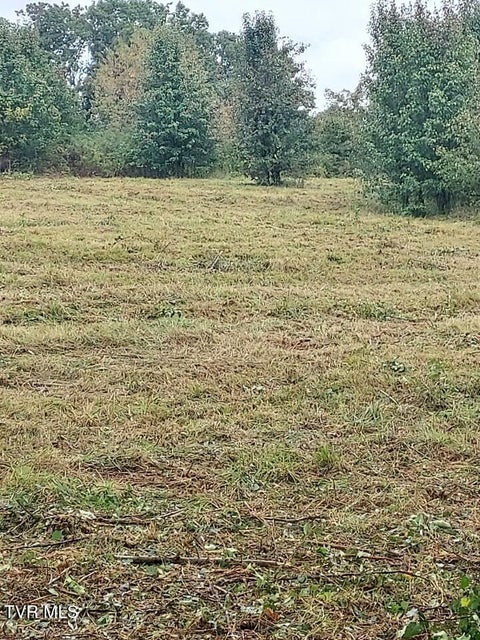 Photo #4: Tbd Highway 11 