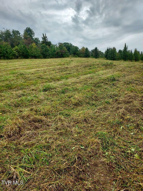 Photo #5: Tbd Highway 11 