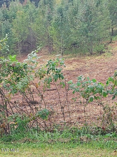 Photo #6: Tbd Highway 11 