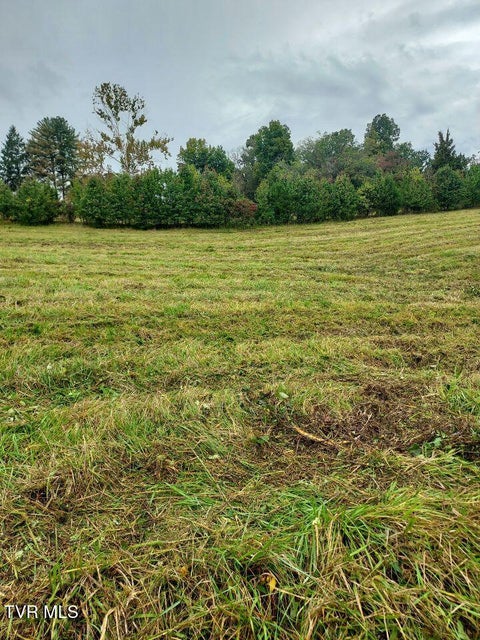 Photo #7: Tbd Highway 11 