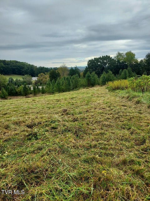 Photo #9: Tbd Highway 11 