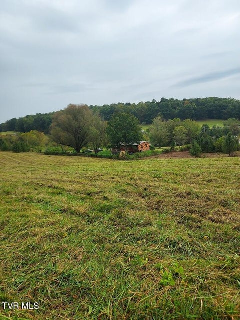 Photo #10: Tbd Highway 11 