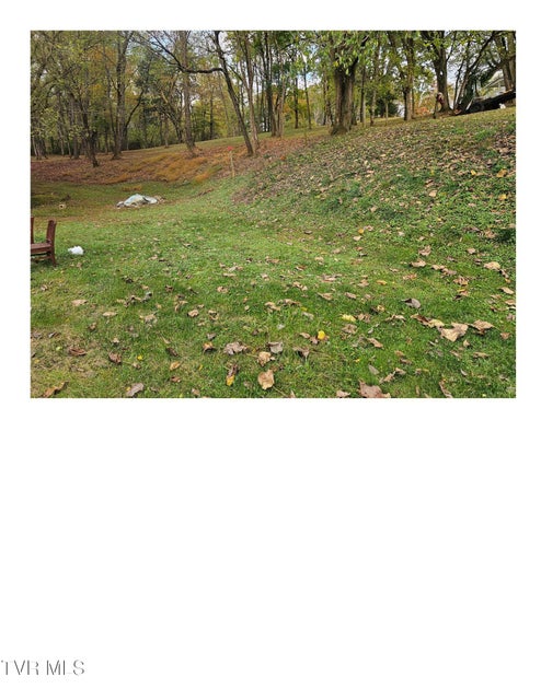 Photo #3: 1825 Sweetbriar Road