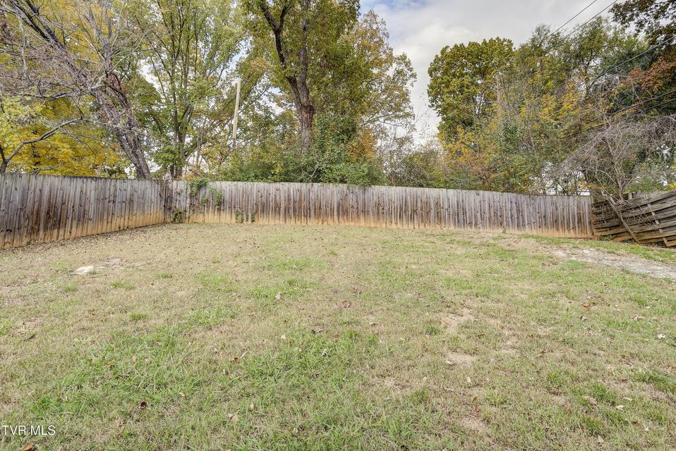 Photo #28: 2012 Woodbine Street