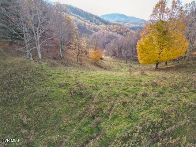 Photo #10: 1297 67 W Highway