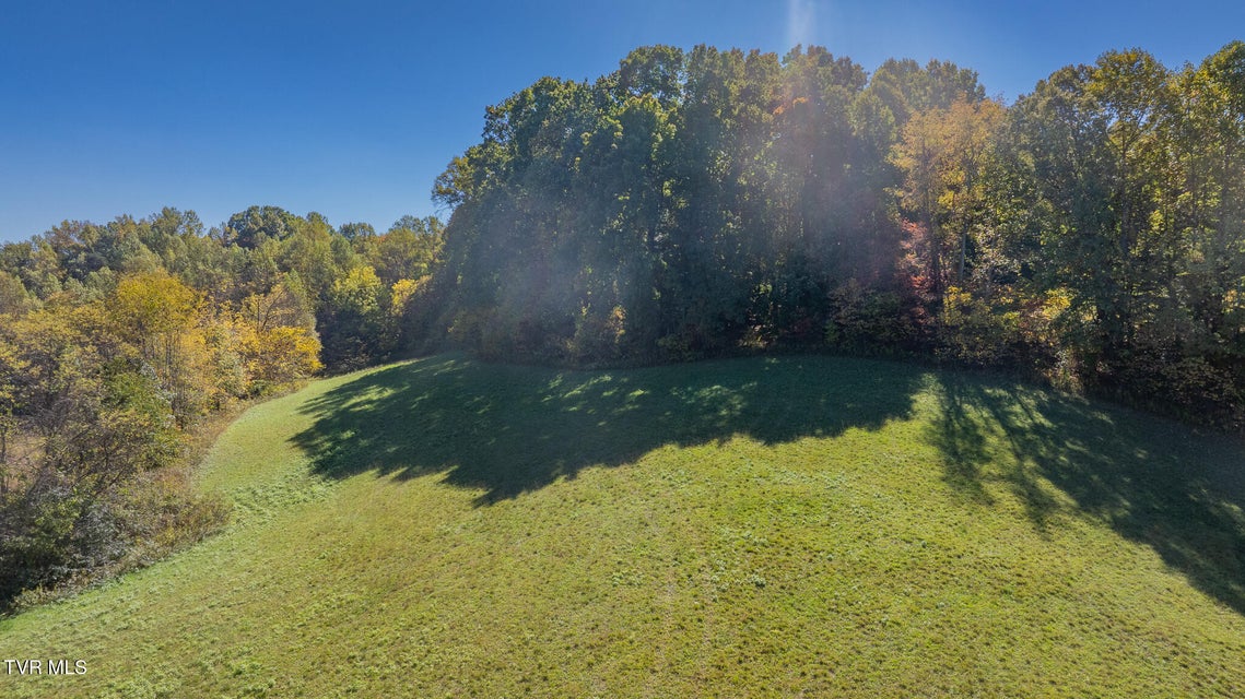 Photo #5: Tbd Paddle Creek Road