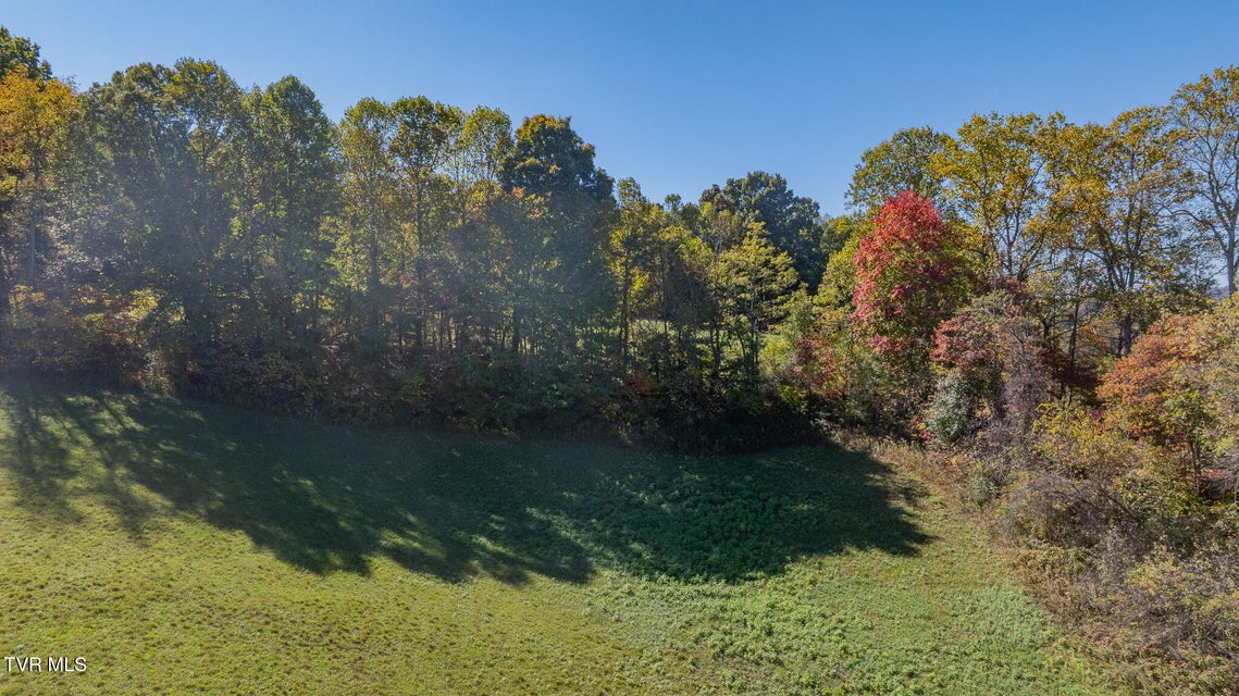 Photo #6: Tbd Paddle Creek Road