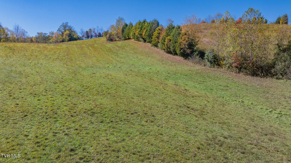 Photo #9: Tbd Paddle Creek Road