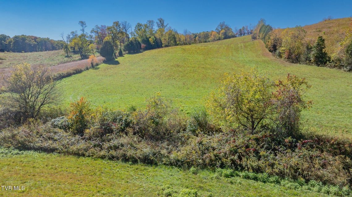 Photo #14: Tbd Paddle Creek Road