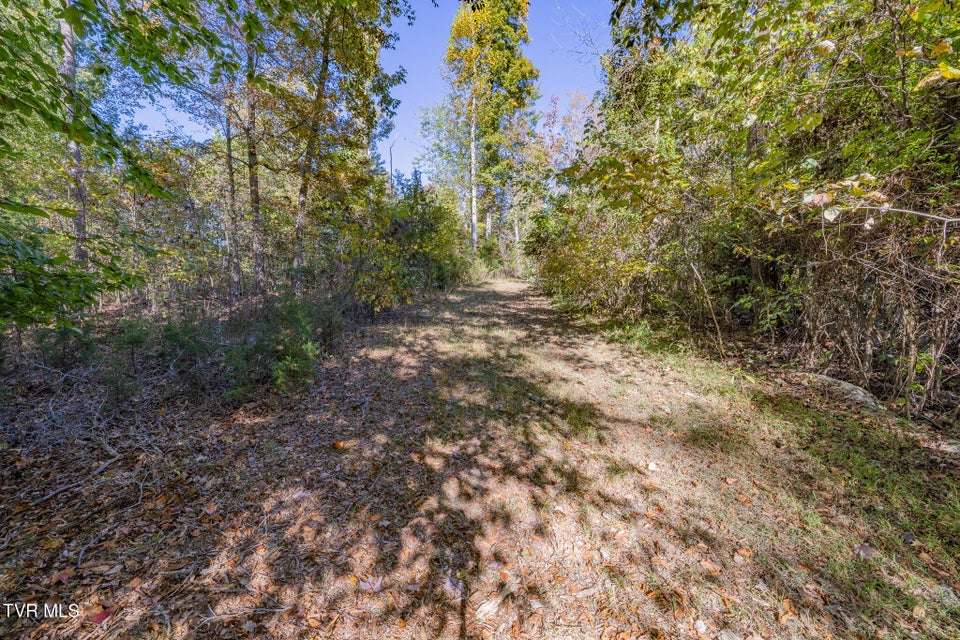 Photo #4: 413 Paddle Creek Road