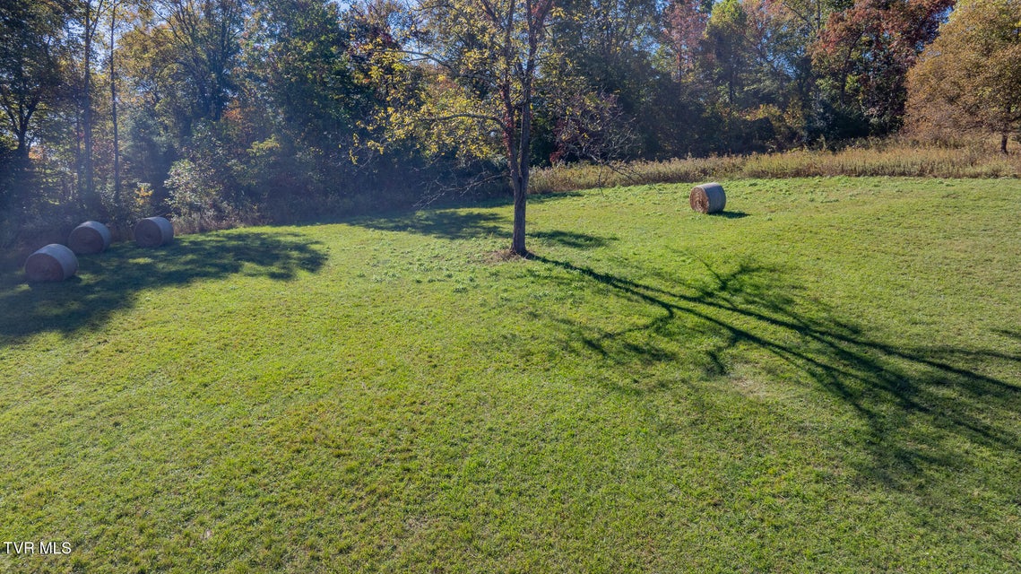 Photo #7: 413 Paddle Creek Road