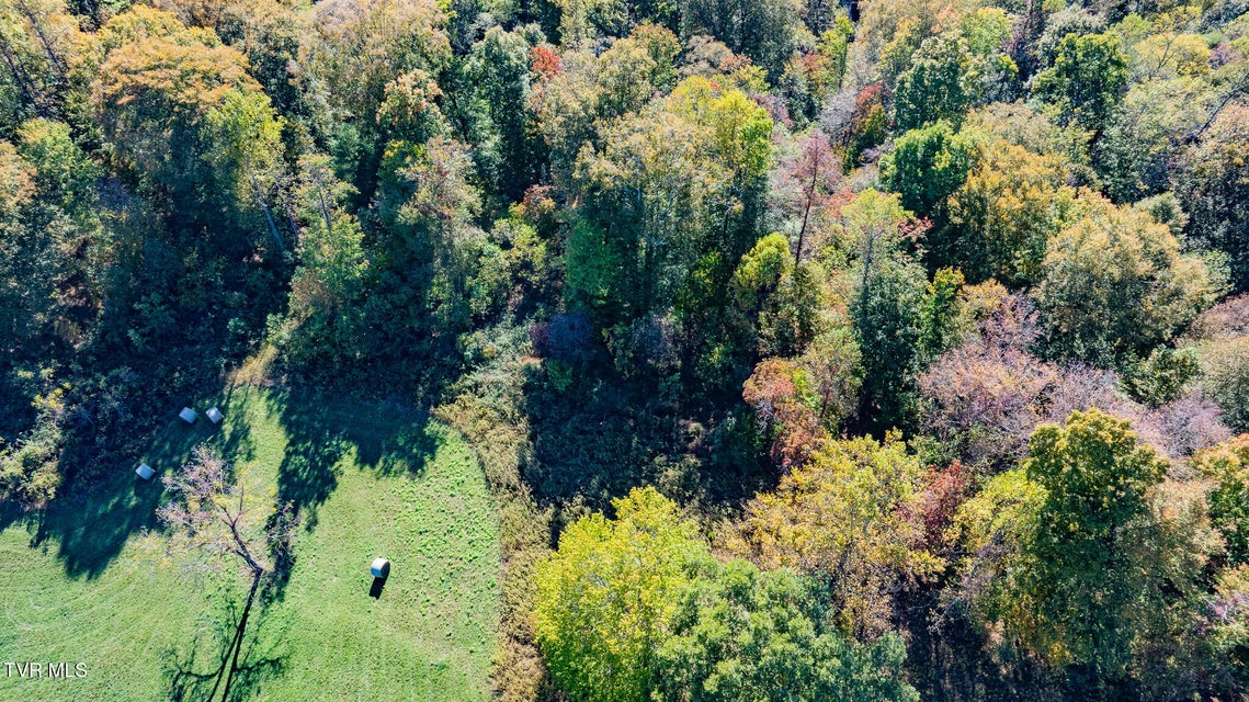 Photo #12: 413 Paddle Creek Road