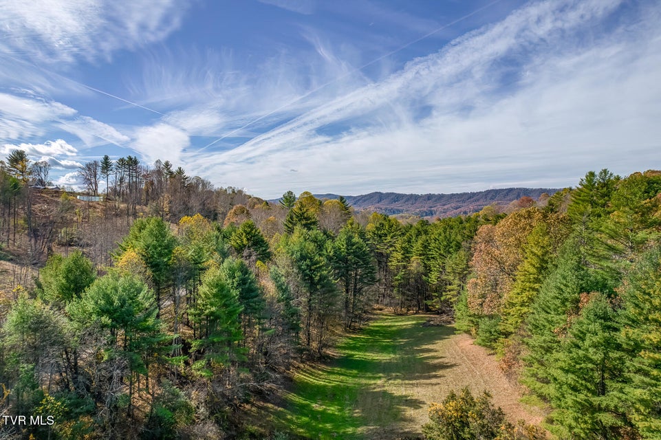 Photo #4: 00 Laurelwood Drive