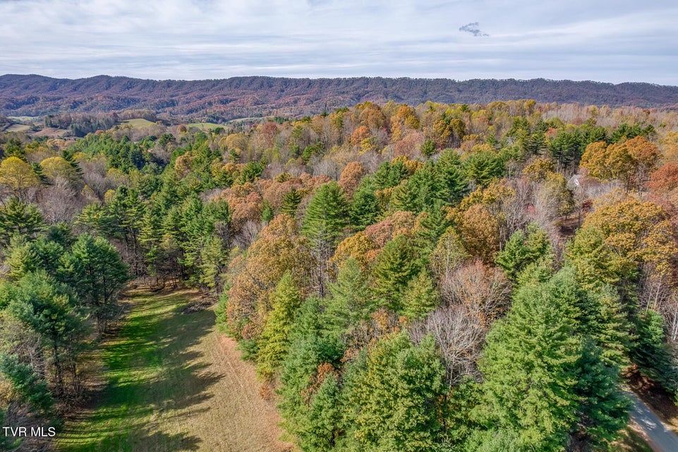 Photo #6: 00 Laurelwood Drive