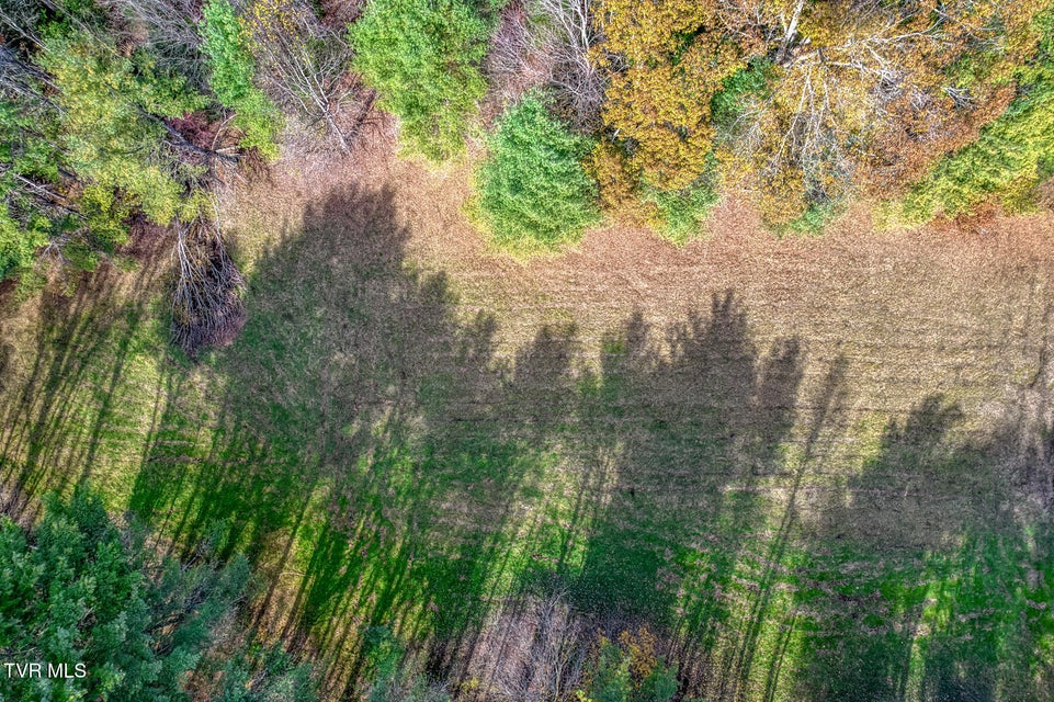 Photo #7: 00 Laurelwood Drive