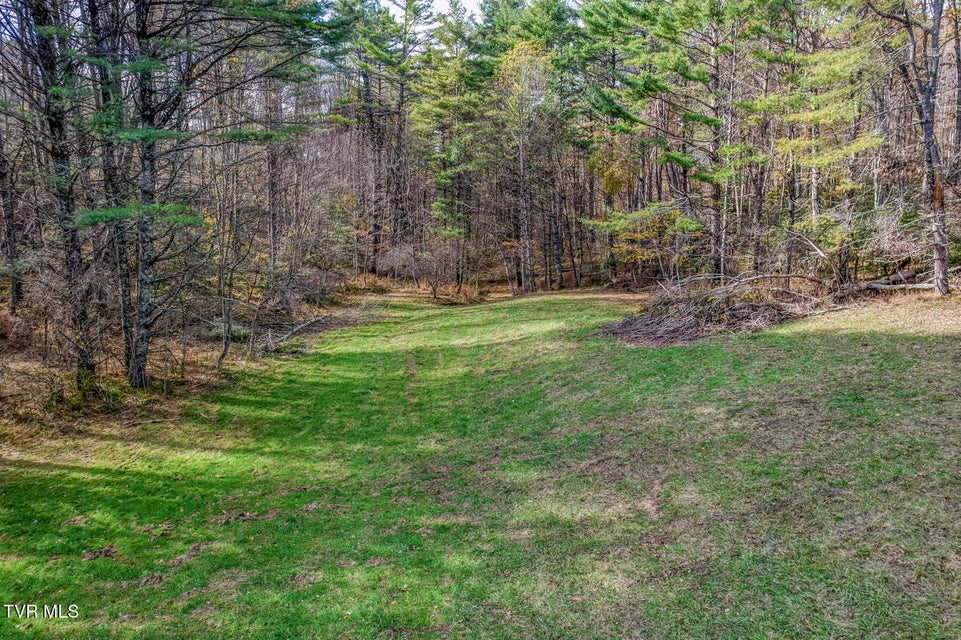 Photo #8: 00 Laurelwood Drive