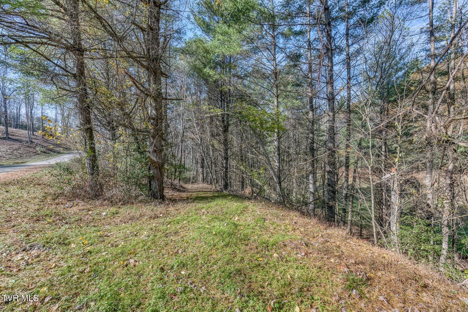 Photo #11: 00 Laurelwood Drive