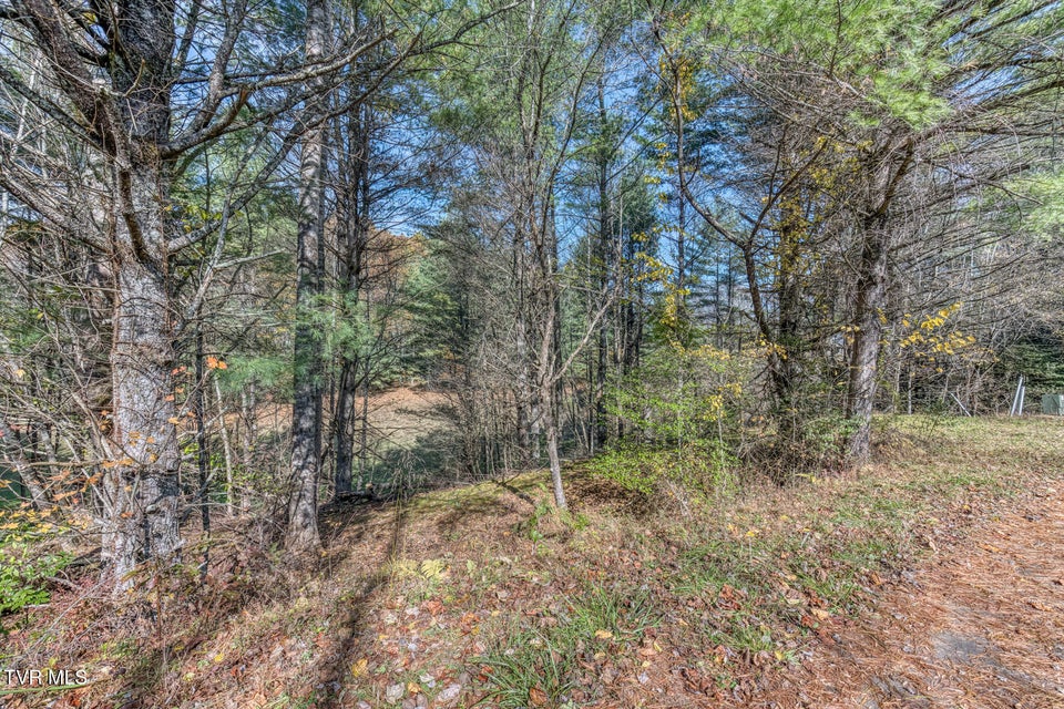 Photo #12: 00 Laurelwood Drive