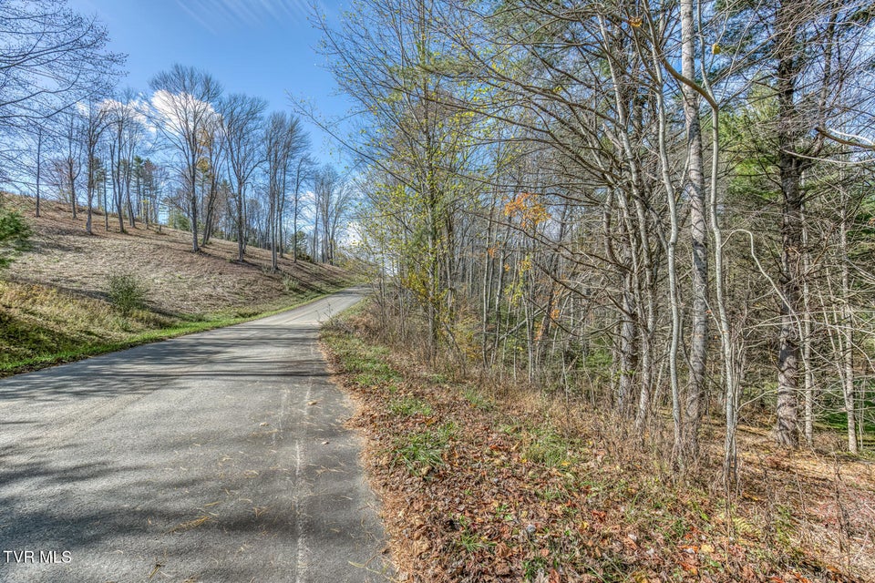 Photo #13: 00 Laurelwood Drive