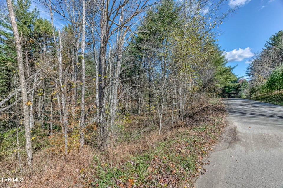 Photo #14: 00 Laurelwood Drive