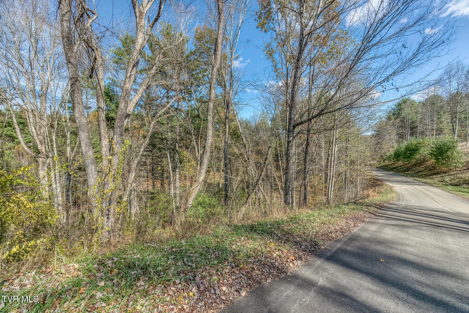 Photo #15: 00 Laurelwood Drive