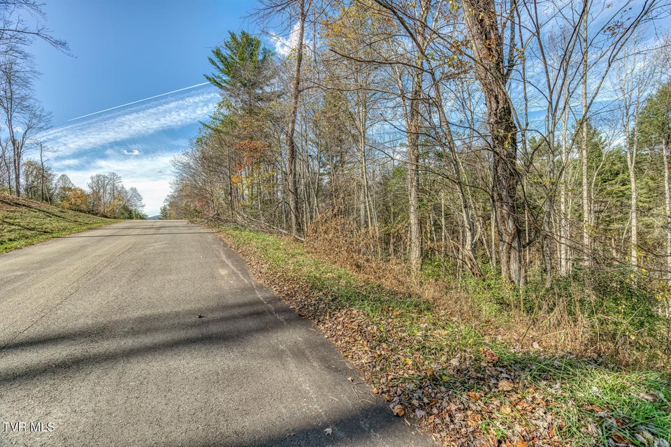 Photo #16: 00 Laurelwood Drive