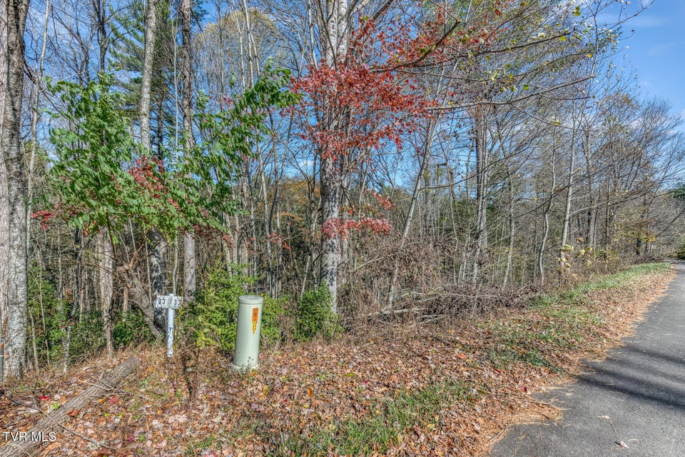 Photo #17: 00 Laurelwood Drive