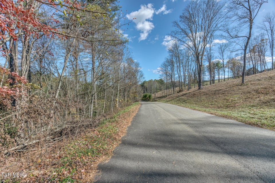 Photo #18: 00 Laurelwood Drive