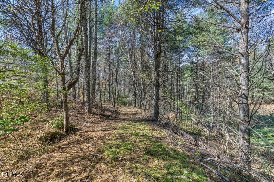 Photo #19: 00 Laurelwood Drive