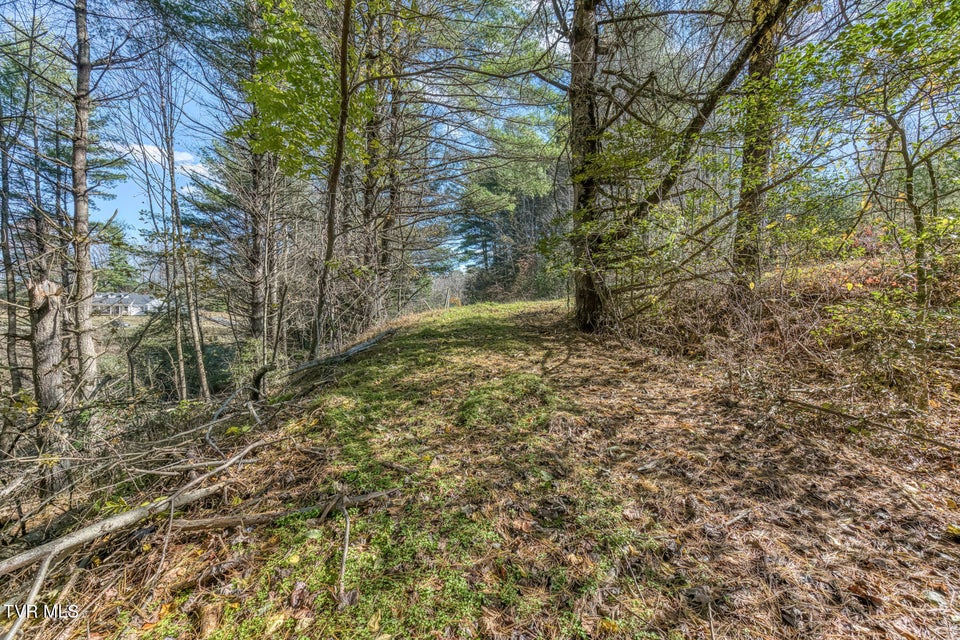 Photo #20: 00 Laurelwood Drive