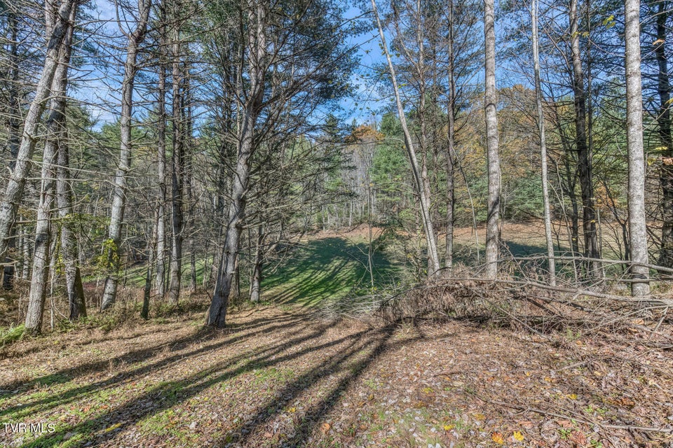 Photo #21: 00 Laurelwood Drive