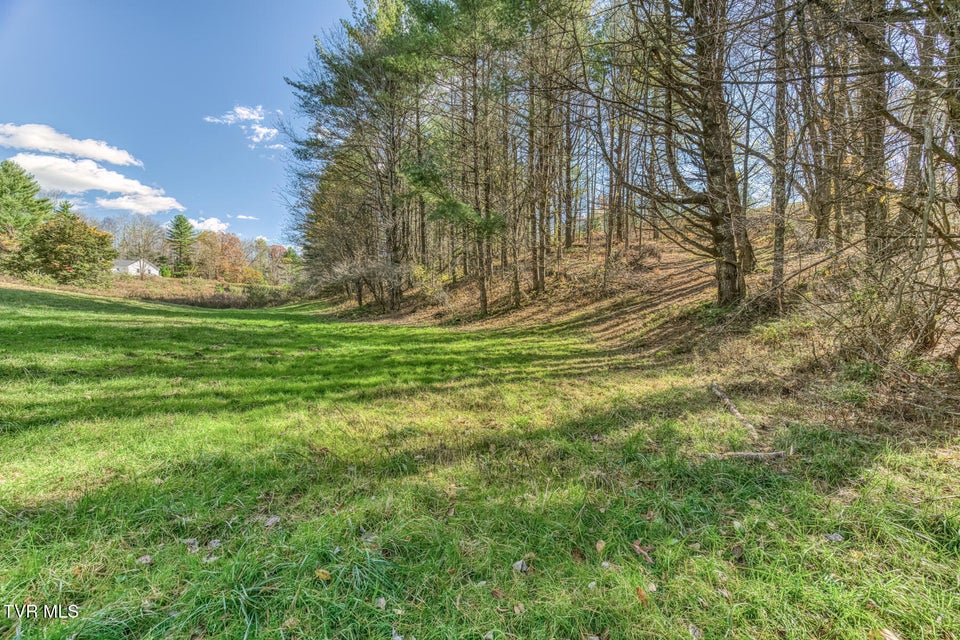 Photo #24: 00 Laurelwood Drive