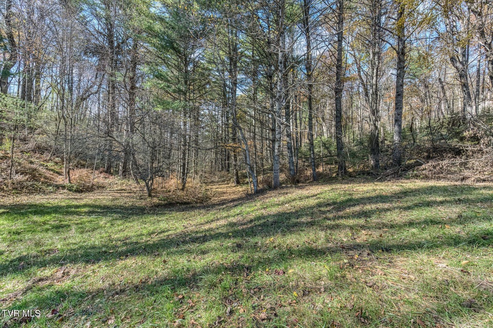 Photo #25: 00 Laurelwood Drive