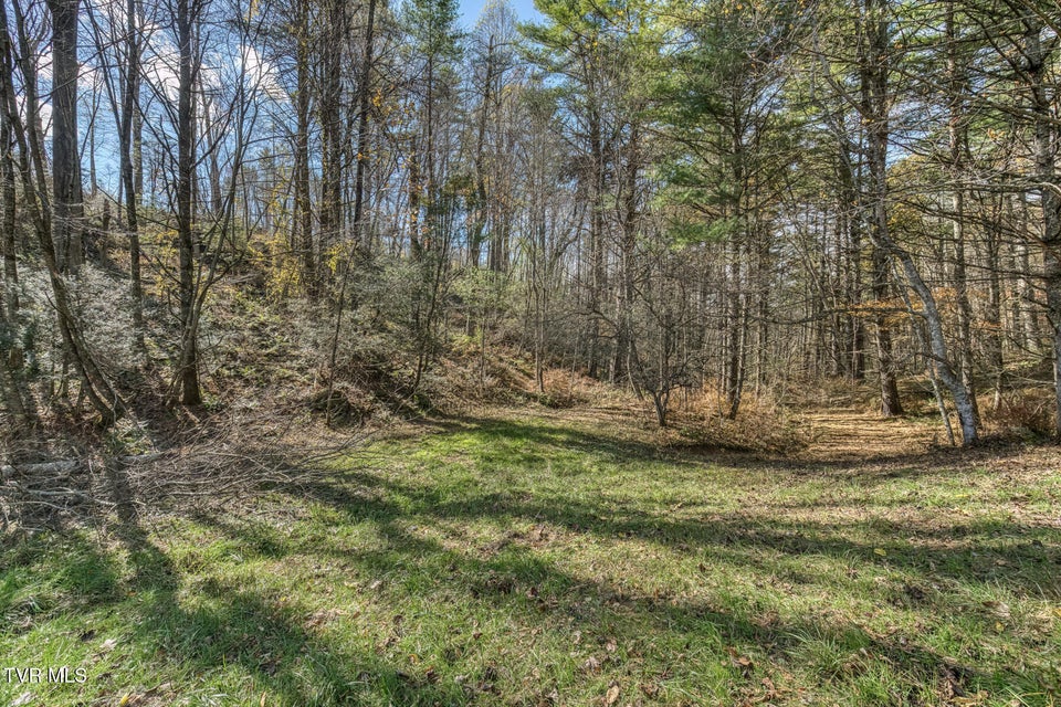 Photo #26: 00 Laurelwood Drive