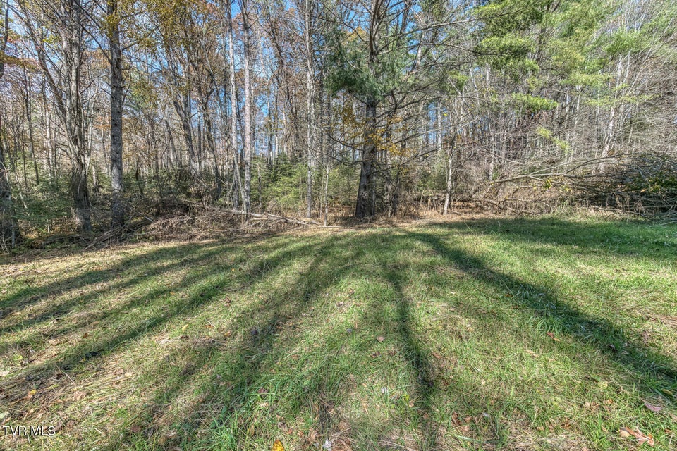 Photo #27: 00 Laurelwood Drive