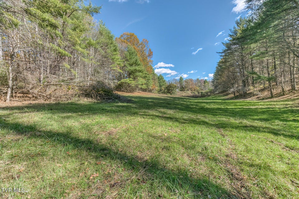 Photo #28: 00 Laurelwood Drive