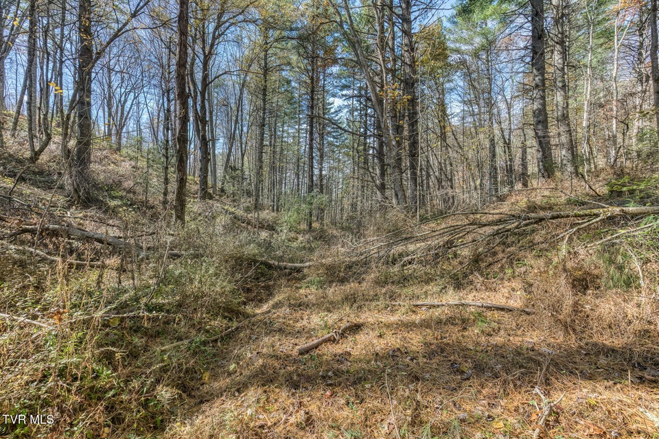 Photo #29: 00 Laurelwood Drive