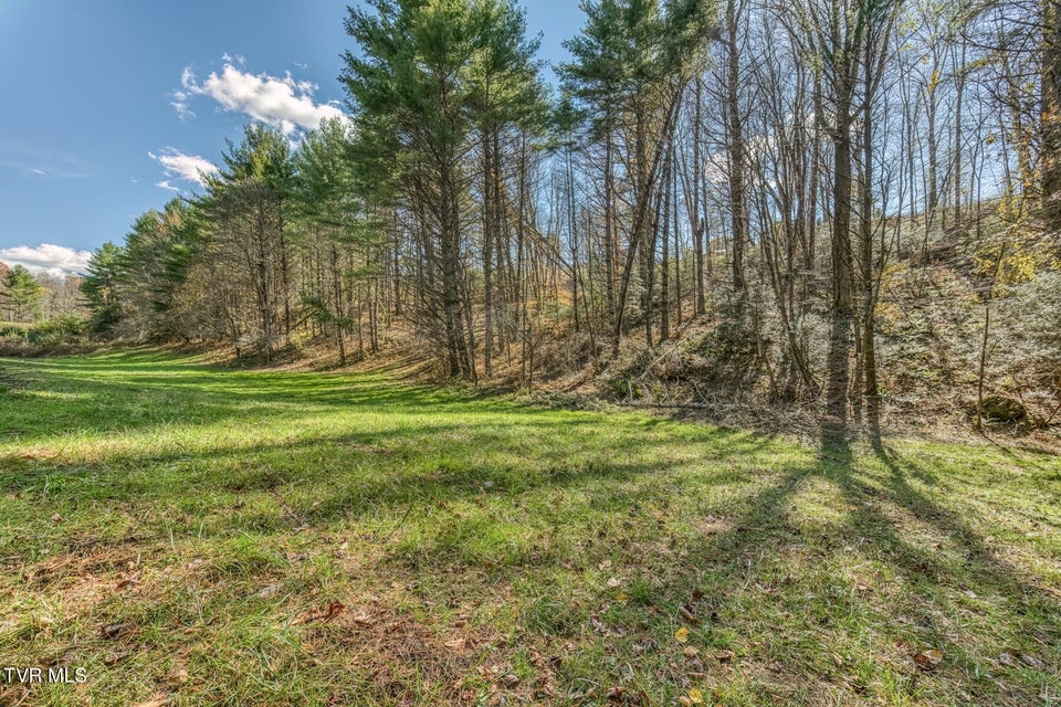 Photo #30: 00 Laurelwood Drive