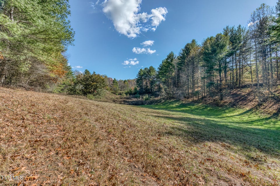 Photo #31: 00 Laurelwood Drive