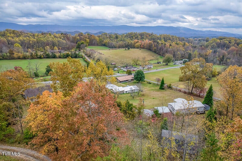 Photo #49: 618 Henson Road