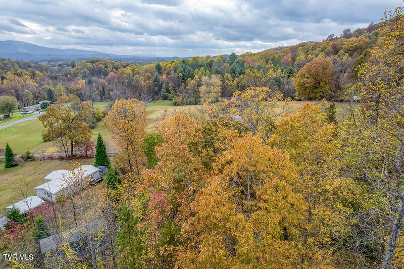 Photo #40: 618 Henson Road