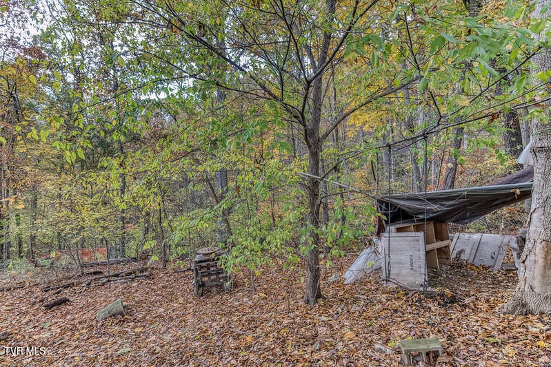 Photo #35: 618 Henson Road