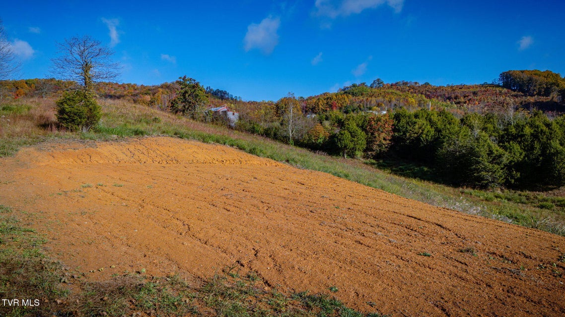 Photo #5: 4526 Daniel Boone Road