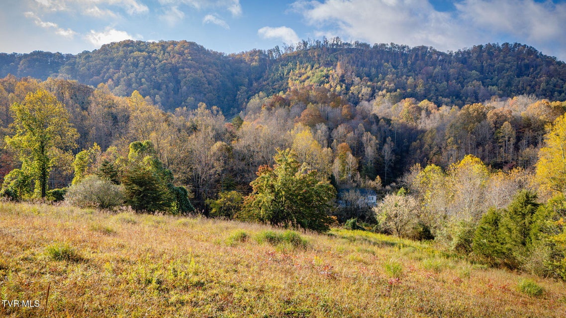 Photo #6: 4526 Daniel Boone Road