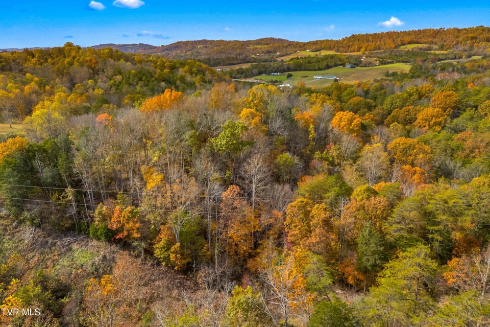 Photo #3: 853 Twin Ponds Lane