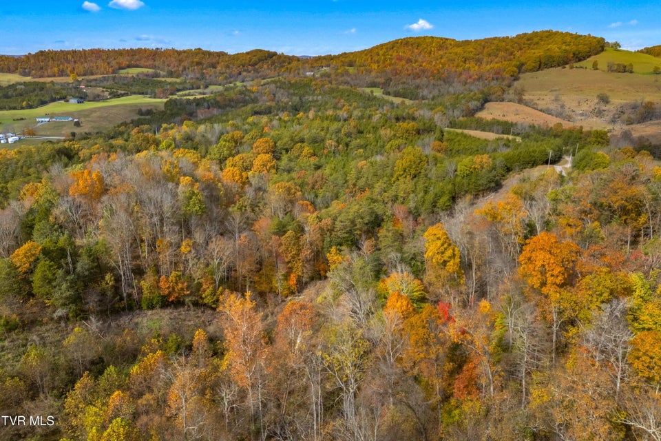 Photo #4: 853 Twin Ponds Lane