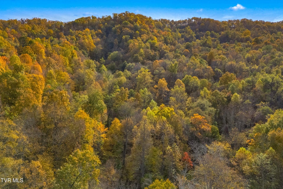 Photo #6: 853 Twin Ponds Lane