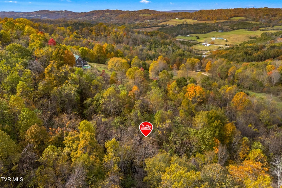 Photo #7: 853 Twin Ponds Lane